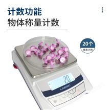 LAB-P6001电池驱动便携式电子天平秤6000g外校准