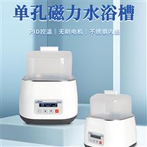 恒温磁力搅拌水浴槽